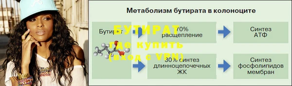 гидра Богданович